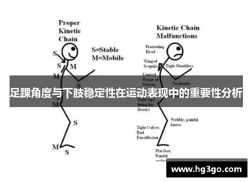 足踝角度与下肢稳定性在运动表现中的重要性分析